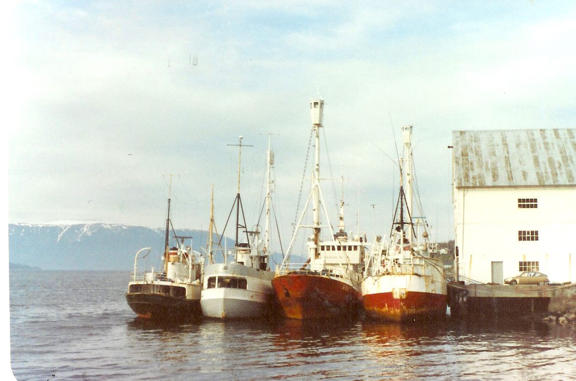 Hindholmen 4 båtar vartdal